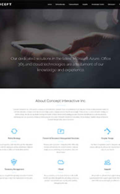 Concept Interactive Inc. homepage preview.
